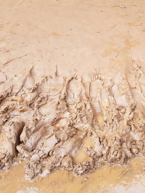 Çamurda bir köpeğin fotoğrafı oynuyor..