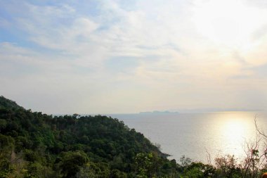 Göle bakan bir bankta oturan birinin fotoğrafı..