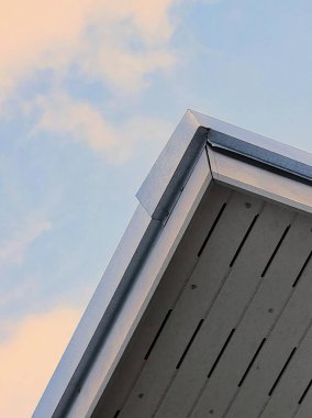 Çatıda oturan bir kuşun fotoğrafı..