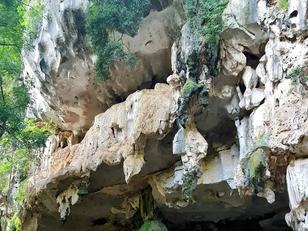 Una Fotografía Una Cueva Con Una Gran Cara Roca Una — Foto de Stock