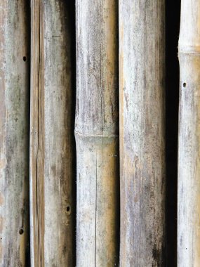 Siyah arkaplanı olan bir grup bambu direğinin fotoğrafı..