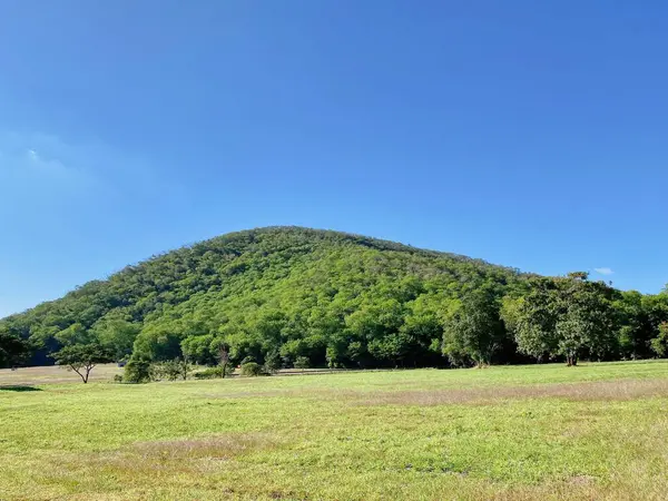 Arka planda dağ olan çimenli bir arazinin fotoğrafı..