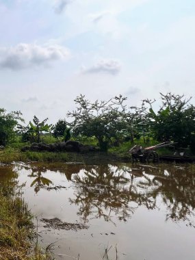 Çamurlu bir yolda at süren bir adamın fotoğrafı..
