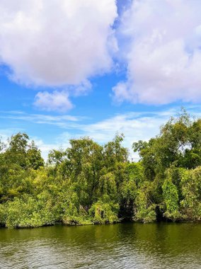 Ağaçlı bir nehrin ve suda bir teknenin fotoğrafı..
