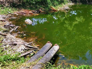 İçinde bir kütük olan bir gölün fotoğrafı..
