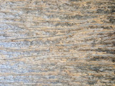 a photography of a close up of a wood surface with a very rough surface. clipart