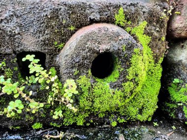 İçinde bir delik olan taş bir duvarın fotoğrafı..