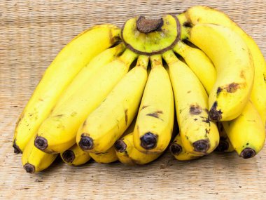 Bir grup muzun masada otururken çekilmiş fotoğrafı..