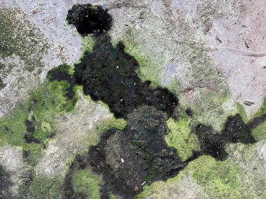 Siyah bir şemsiyeyle kaldırımda yürüyen bir kişinin fotoğrafı..