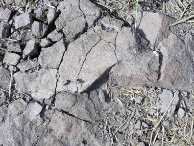 Üzerinde küçük bir kuş olan bir kayanın fotoğrafı..