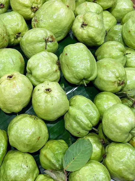 Yapraklı bir guava meyvesinin fotoğrafı..