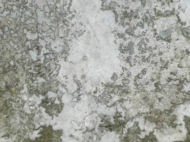 Kirli beton bir duvarın fotoğrafı. Üzerinde biraz boya var..