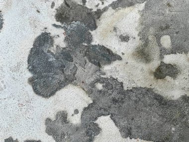 Bir panda fotoğrafı kırmızı bir yangın musluğuyla yerde duruyor..