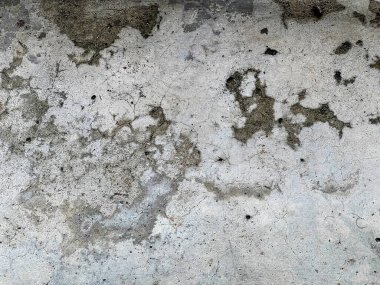 İçinde yangın musluğu ve yangın musluğu olan bir duvarın fotoğrafı..