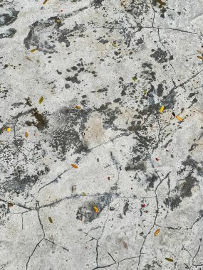 Beton yüzeyde yatan beyaz ve siyah bir kedinin fotoğrafı..