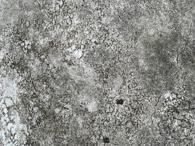 Bir duvarın siyah beyaz fotoğrafı..