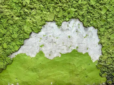 Yeşil ve beyaz çimenli bir duvarın fotoğrafı..