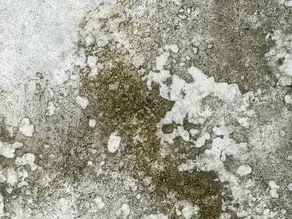 Beyaz ve yeşil boyalı kirli bir duvarın fotoğrafı..