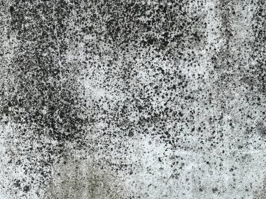 Bir sürü siyah beyaz noktalı kirli bir duvarın fotoğrafı..