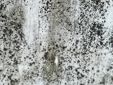 Siyah benekli, beyaz arkaplanı olan kirli bir duvarın fotoğrafı..