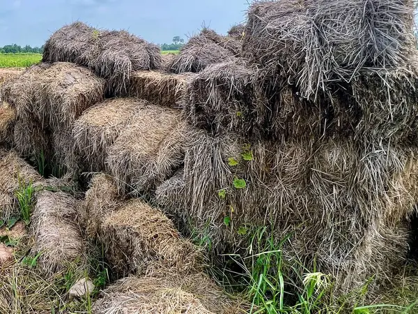 Gökyüzü arkaplanı olan bir tarladaki saman yığınının fotoğrafı.