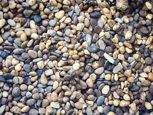 stock image a photography of a pile of rocks and gravel with a small plant in the middle.