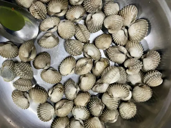 Stock image a photography of a bowl of clams with a spoon in it.