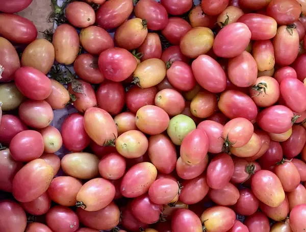 stock image a photography of a pile of tomatoes sitting on top of each other.