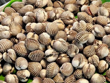 Masadaki bir kase kabuğun fotoğrafı..