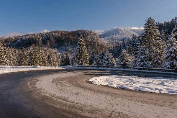 Beautiful winter scenery landscape with wide road in foreground, snowcapped spruce trees under bright sunny light in frosty morning, alpine panoramic view snow capped mountains in background.
