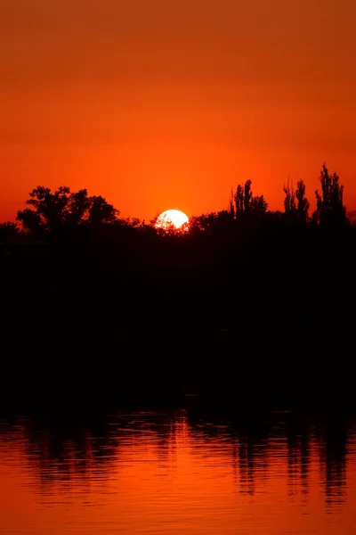 Sunset over a lake with ray cast on the lake, treeline in silhouette in the background during summer and sunburst. Big round sun is rising behind the trees over the water, orange and red dramatic sky