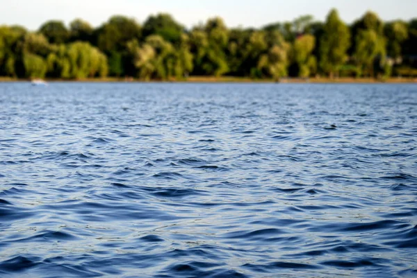 Low angle view of the surface of a lake in the city park in a late summer day, with blurred trees in the background. Water surface with small waves and ripples to use in compositions and designs