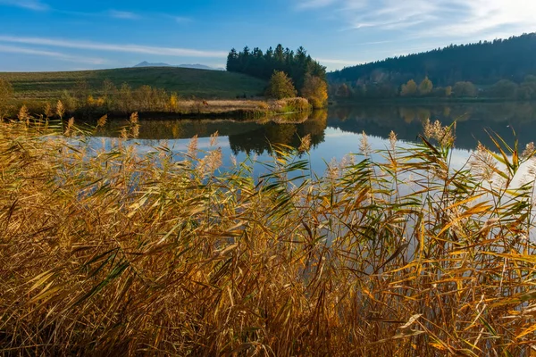Beautiful autumn scenery of a lake hidden deep between hills and forests, in a sunny clear blue sky day, with many dried reeds on the shore. Colorful trees reflect in the calm and still water surface