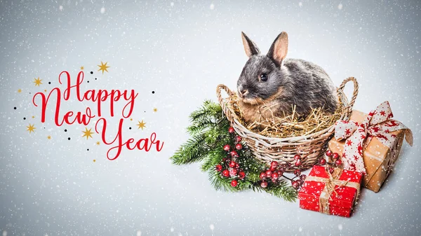 Feliz Año Nuevo Chino 2023 Año Del Conejo Conejo Gris — Foto de Stock