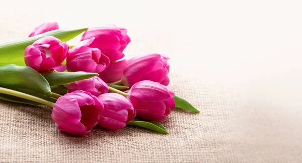 Pink Tulips Lie Canvas Stock Image