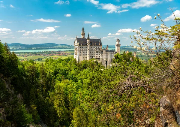 Castelo Neuschwanstein Baviera Alemanha Vista Castelo Vale Verão — Fotografia de Stock