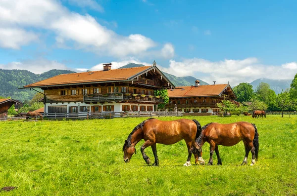Bavyera köyü. Geleneksel Bavyera ahşap evi, çayır ve otlayan atlar
