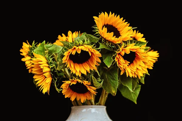 Sonnenblumenstrauß Einer Weißen Vase Auf Schwarzem Hintergrund Isolieren — Stockfoto