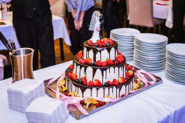 Çikolata, çilek ve gelin ve damadın plastik biblosuyla süslenmiş düğün pastası.