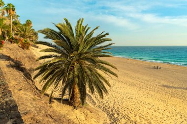 Kanadalılar, Fuerteventura Adası. Morro Jable 'daki sahil manzarası