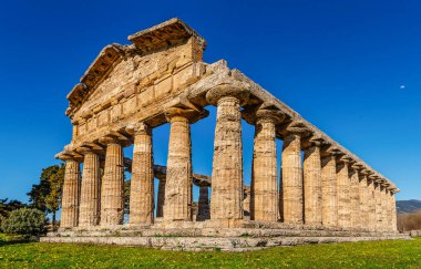 Antik Paestum şehrinin kalıntıları. Antik Yunan tapınağının sütunları ve basamakları