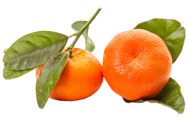 Yapraklı PNG Mandalina.