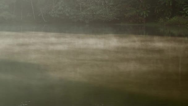 Brouillard Sur Lac Brume Avec Lumière Soleil Pendant Lever Soleil — Video