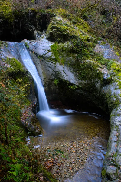 Cascada Natural Bosque Atmósfera Mágica — Foto de Stock