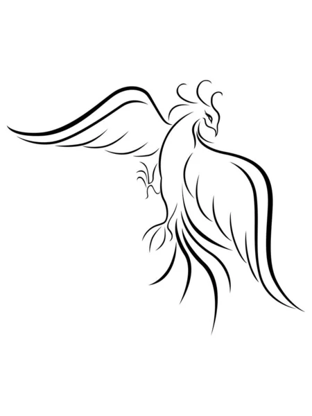 Nero Grazioso Firebird Contorno Isolato Bianco Mano Disegno Vettoriale Illustrazione — Vettoriale Stock