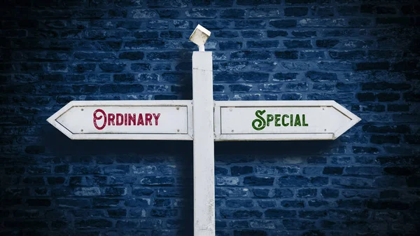 Street Sign Direction Way Special Ordinary — Stock Photo, Image