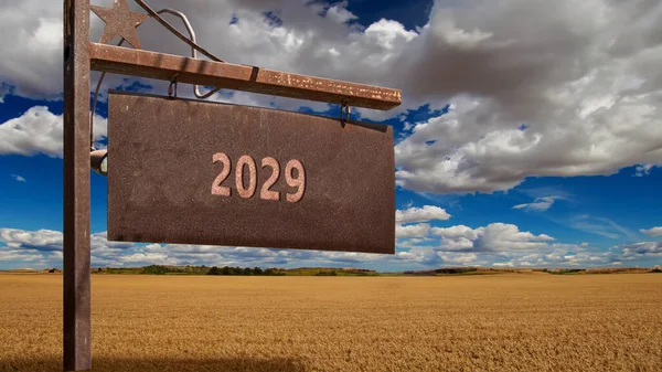 Obrázek Ukazatele Ukazujícího Směru Rok 2029 — Stock fotografie