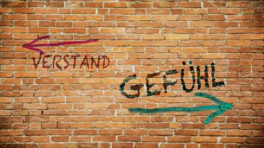 Almanca 'nın iki farklı yönünü gösteren işaret direği olan bir resim. Bir yön duyguyla, diğeri mantıkla işaret eder..