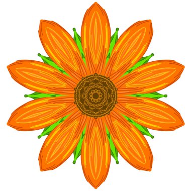 Beyaz arkaplanda izole edilmiş turuncu çiçek.