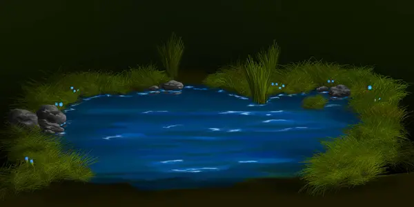 İllüzyon. Orman gölü, çimen, çiçekler, taşlar, sudaki yansımalar..